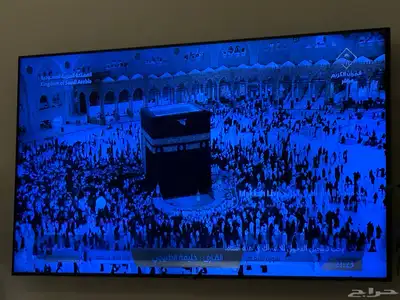 تلفزيون 1