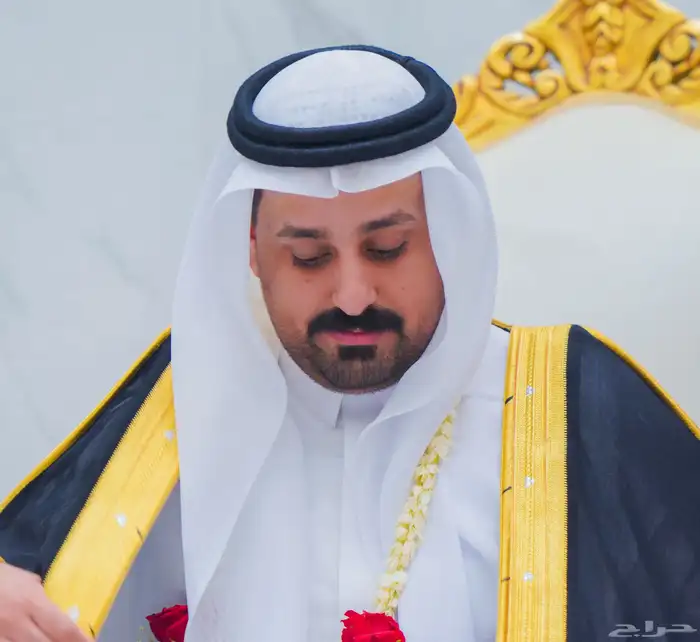 مصور فوتوغرافي 6