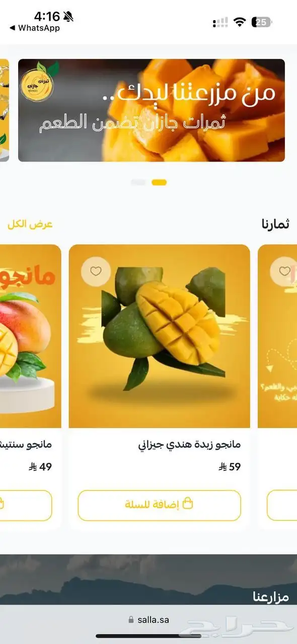 مانجو جازان من المزرعة لباب بيتك 1