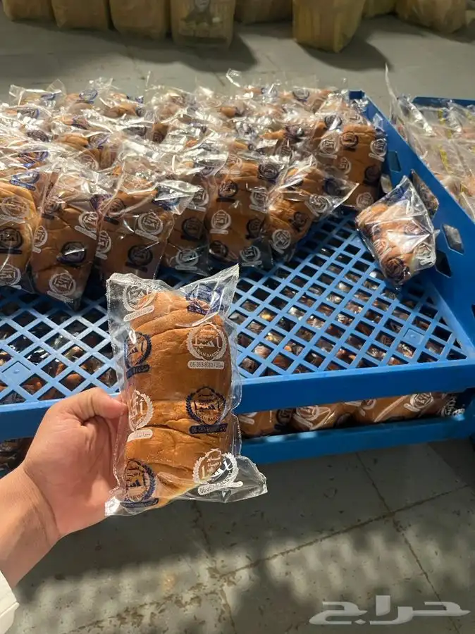 شابورة وكيك 8