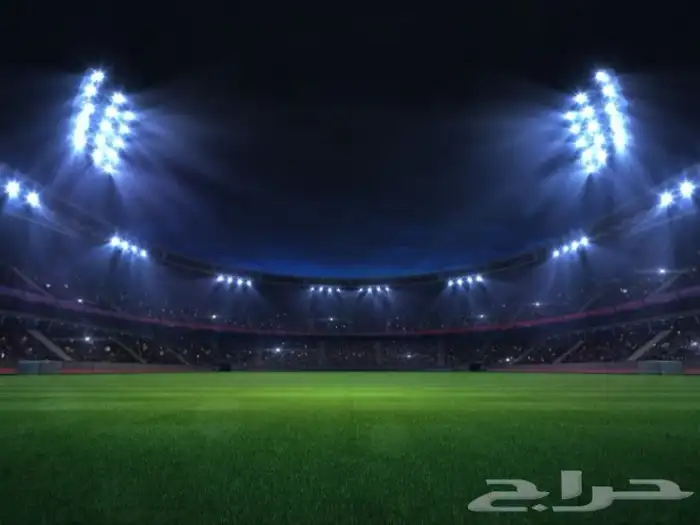 ملعب كوره قدم ( مستثمر ) 0