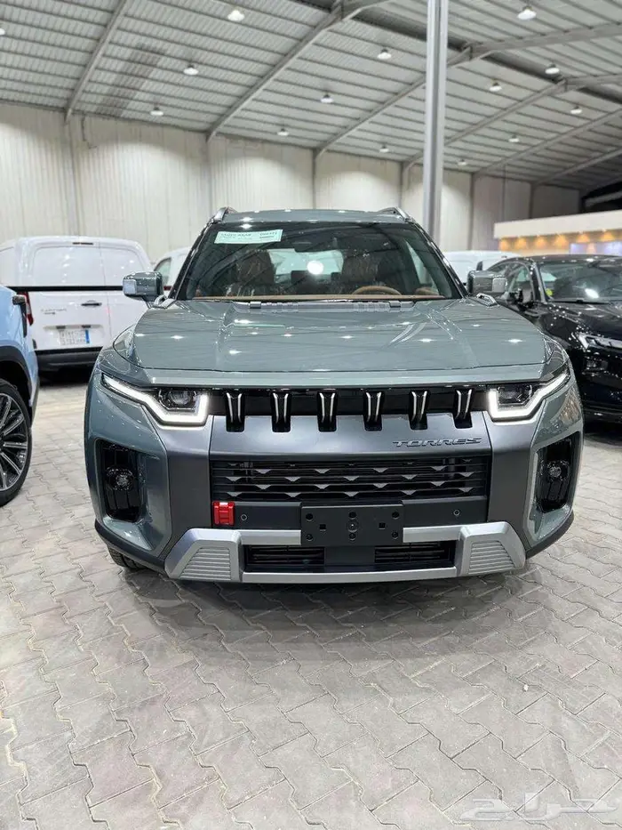 سانج يونج توريس 2024 كاش واقساط 1