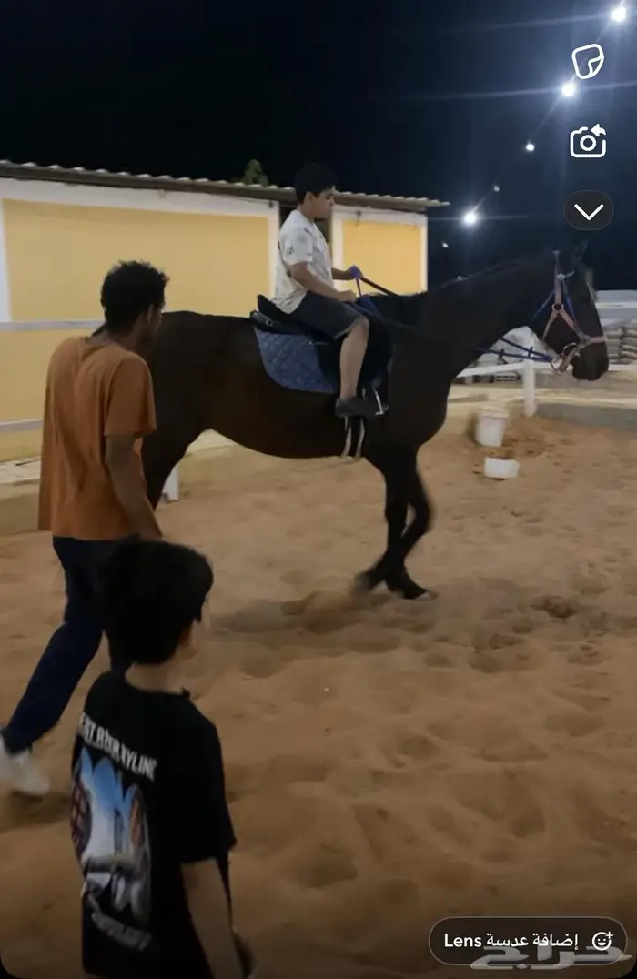 غرف إيواء للخيول شرق الرياض 0