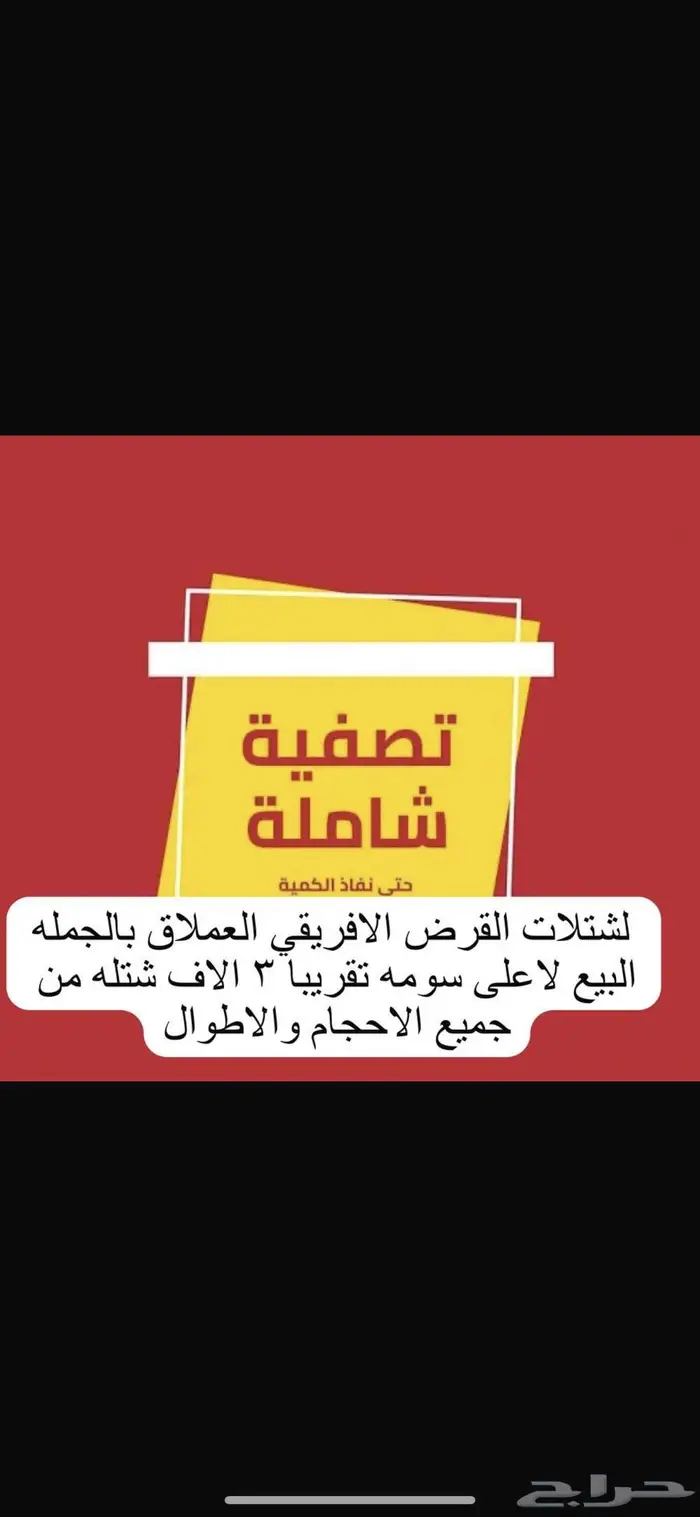 شجر طلح مقاس بوصة للمشاريع الحكومية 0