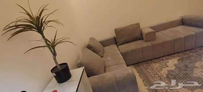 كنب نظيف استخدام بسيط مع كنب استرخاء فردي 0