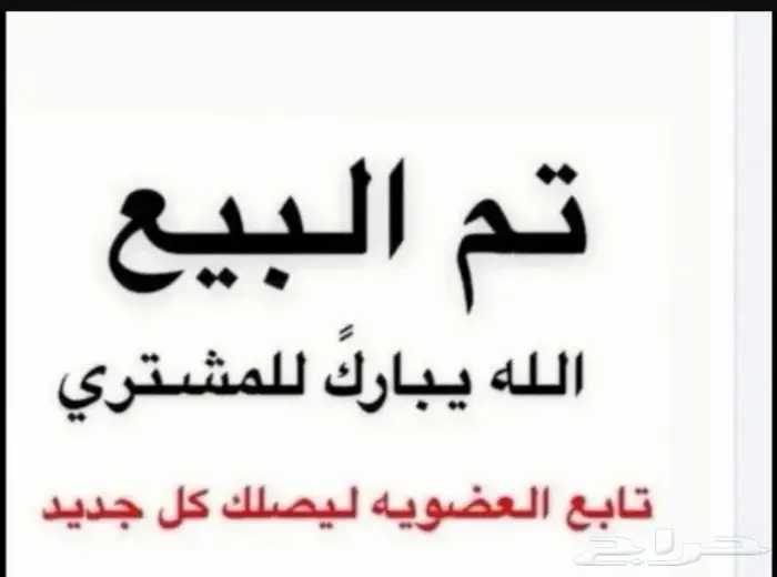 قعود لبنى (تم البيع) 0