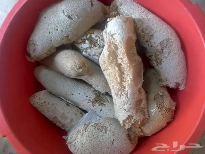 عسل بري حر لايتدخل فيه الانسان القنفذة 1