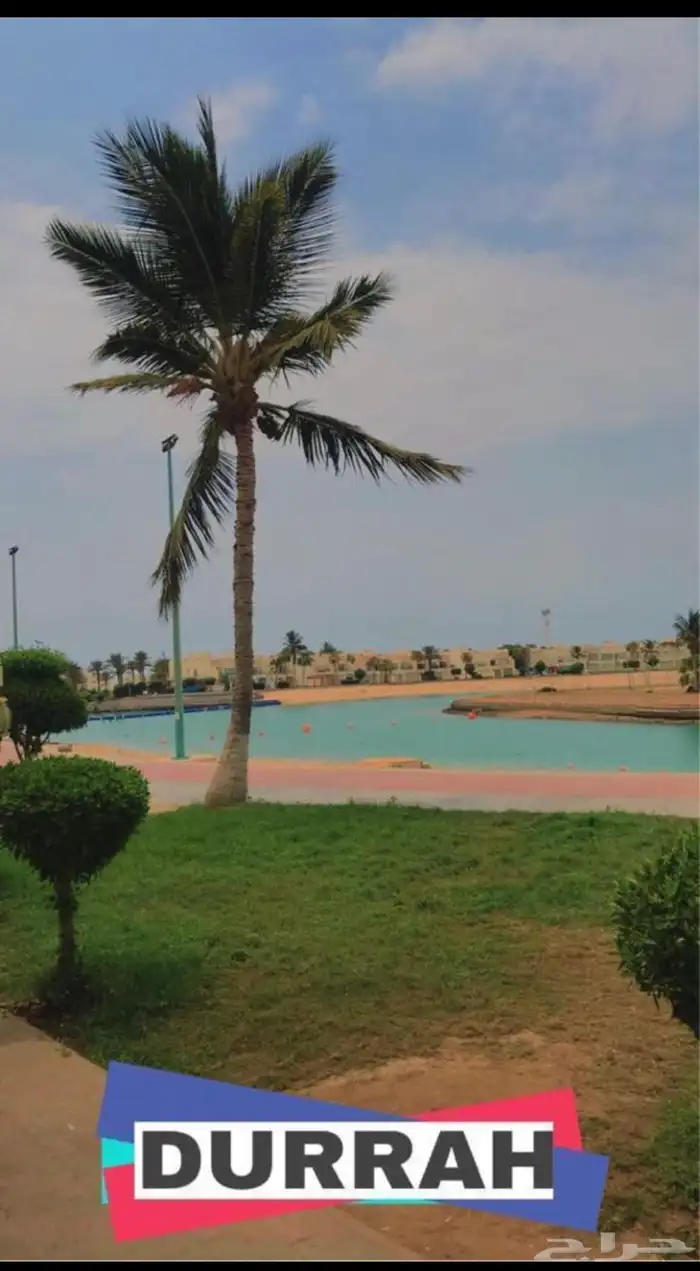 عرض درة العروس يوم عليك يوم علينا 62