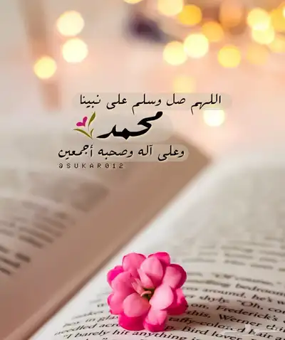 كداد من المدينه المنوره الى العلا 0