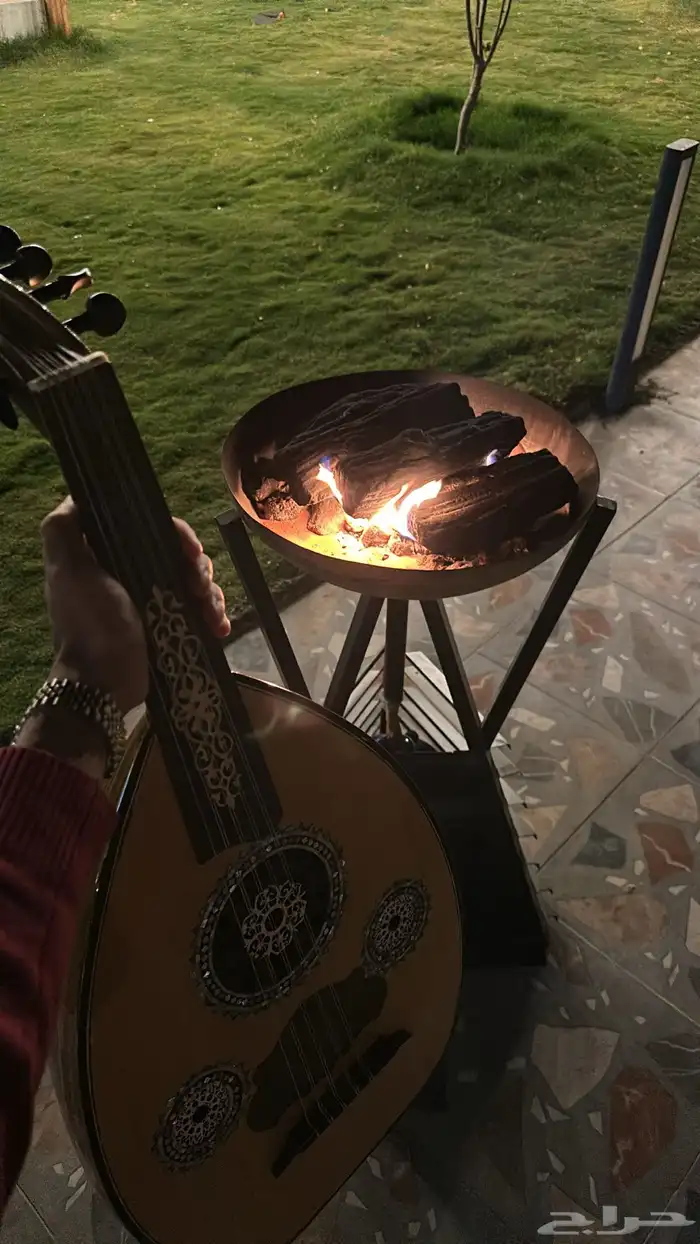 عود مصري للبيع 0