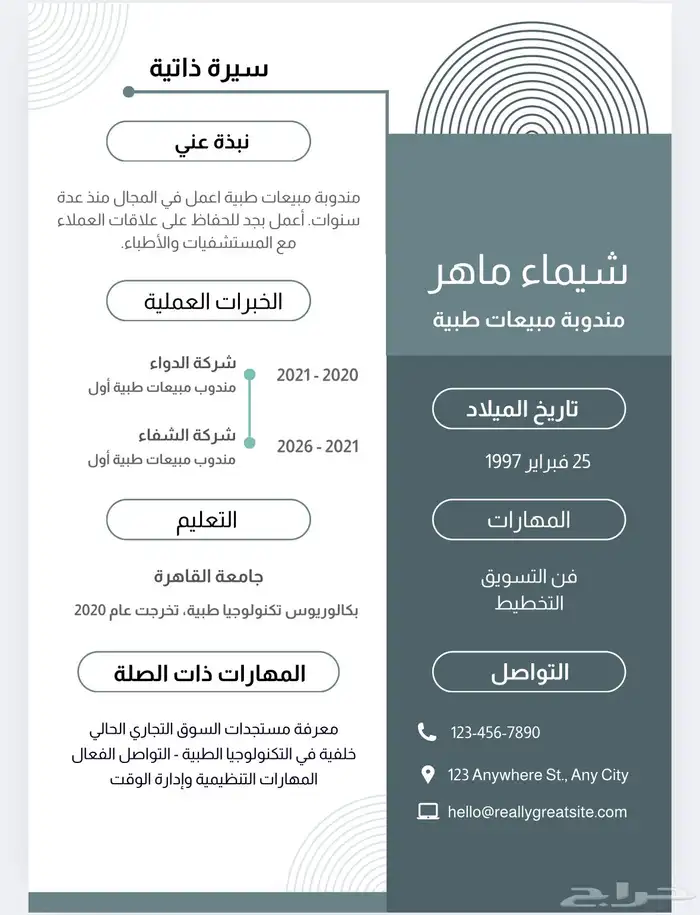 تصميم سيرة ذاتية احترافيه (cv) عربي وانجليزي بسعر رمزي 2