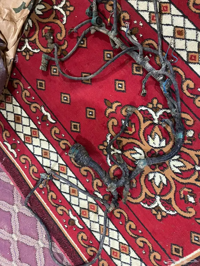 ضفيره بكلين فلفو 0