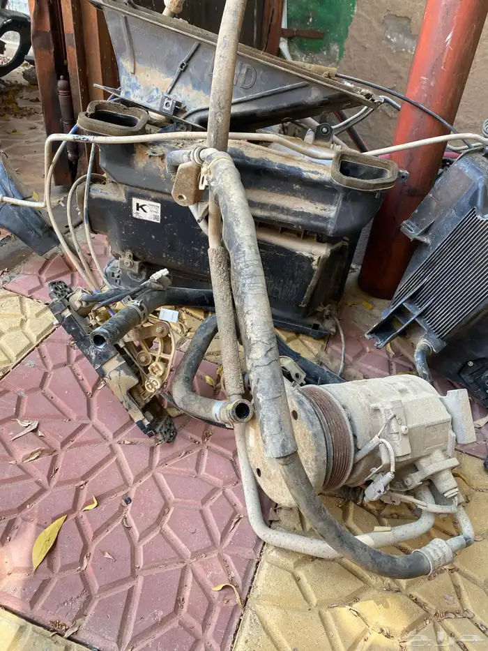 شاص 2014 20