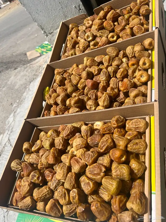 تمر سكري مفتل فواخر المفتل ملكي  نوادر 1