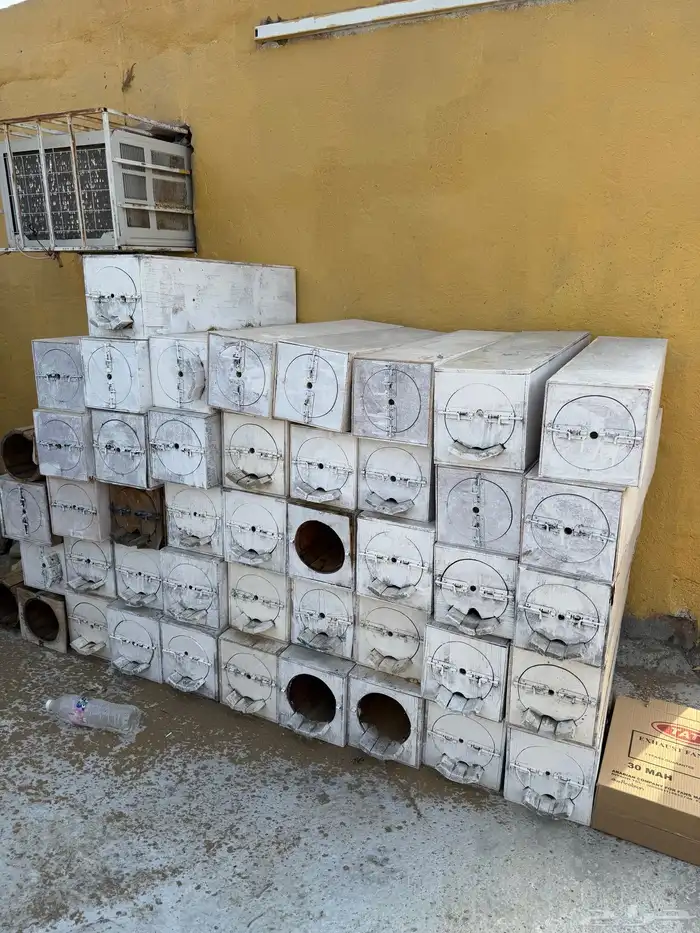 عيدان نحل فاضيه 0