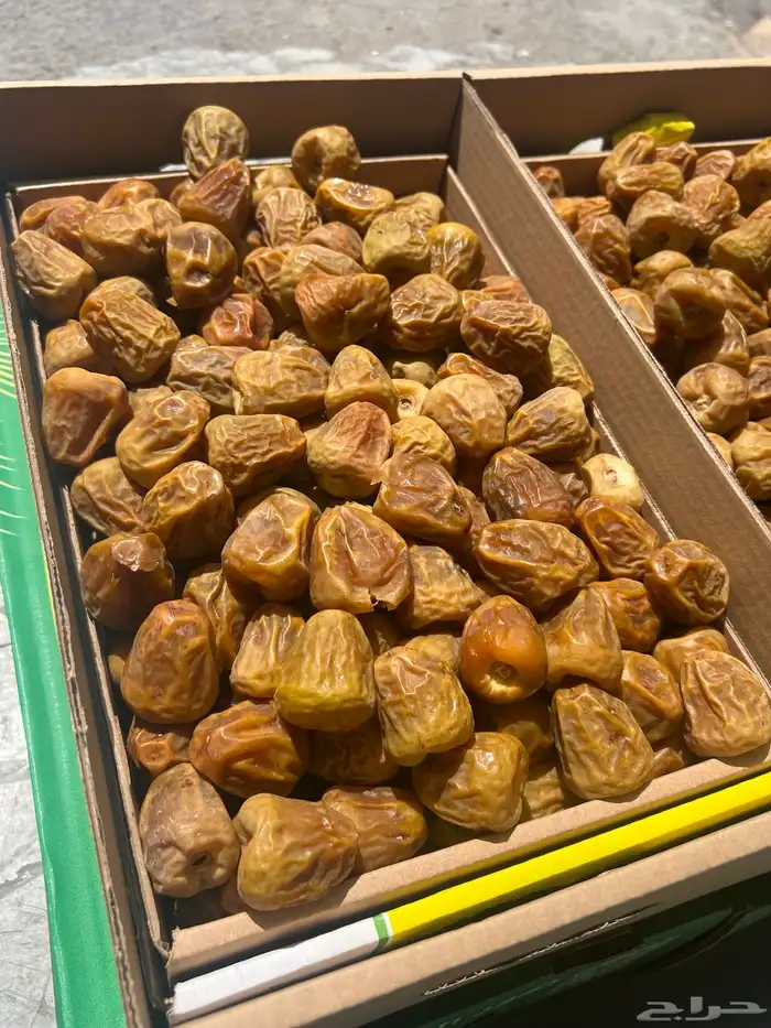 تمر سكري مفتل فواخر المفتل ملكي  نوادر 0