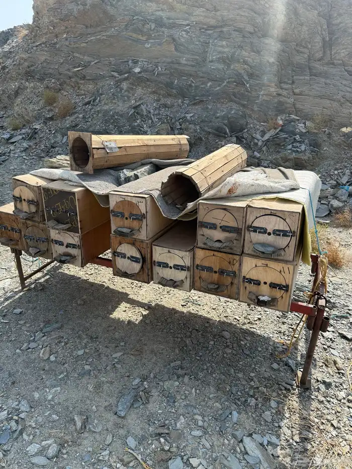 عيدان نحل فاضيه 1