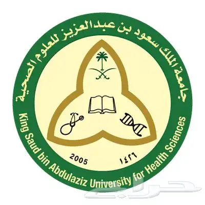 تقرير - تقارير التدريب - التقرير المرحلي - التدريب التطبيقي 1