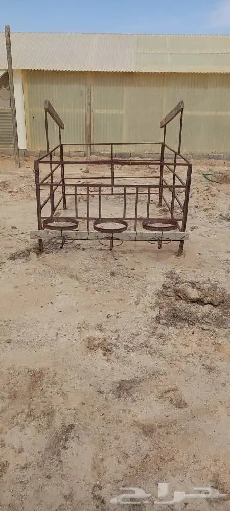 أقفاص تربية عجول رضيعة 3