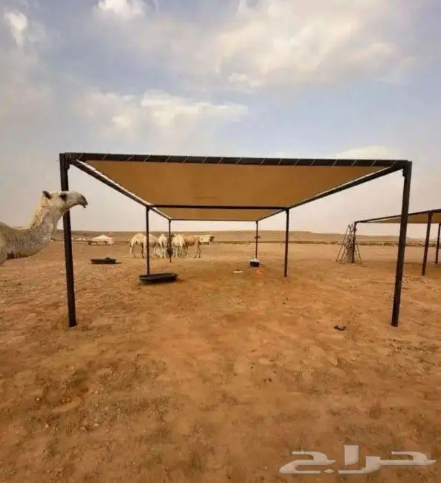 مظلات ابل جميع المقاسات شراع وطني سعودي ضمان  شغل منتاز 4