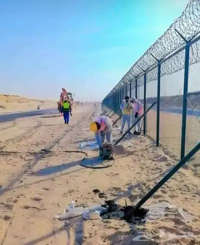 شبوك الغربيه 7