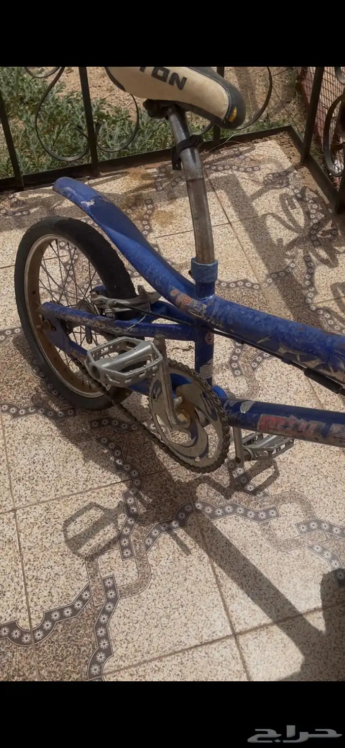 سيكال كوبرا 3