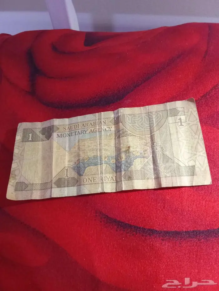 سكن التميمي 0