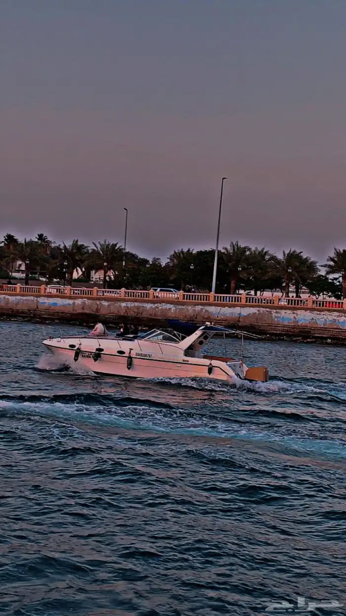 رحلات يخوت وقوارب بارخص الاسعار 0
