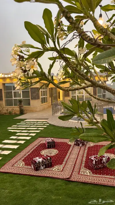 شاليه لافالي ( تأجير يومي ) 2