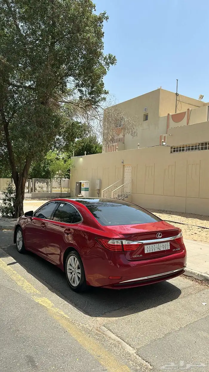 تم البيع 5