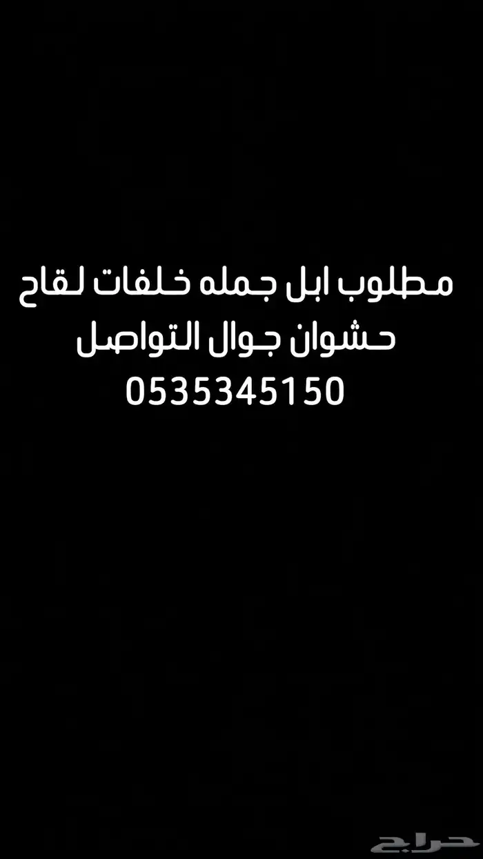مطلوب أبل جمله 0