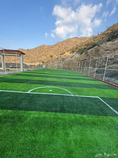 تنسيق الحدائق 8