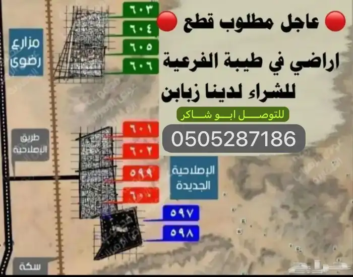 طيبة الفرعية الندى الوداد المجد البيان بيع وشراء تسويق 1