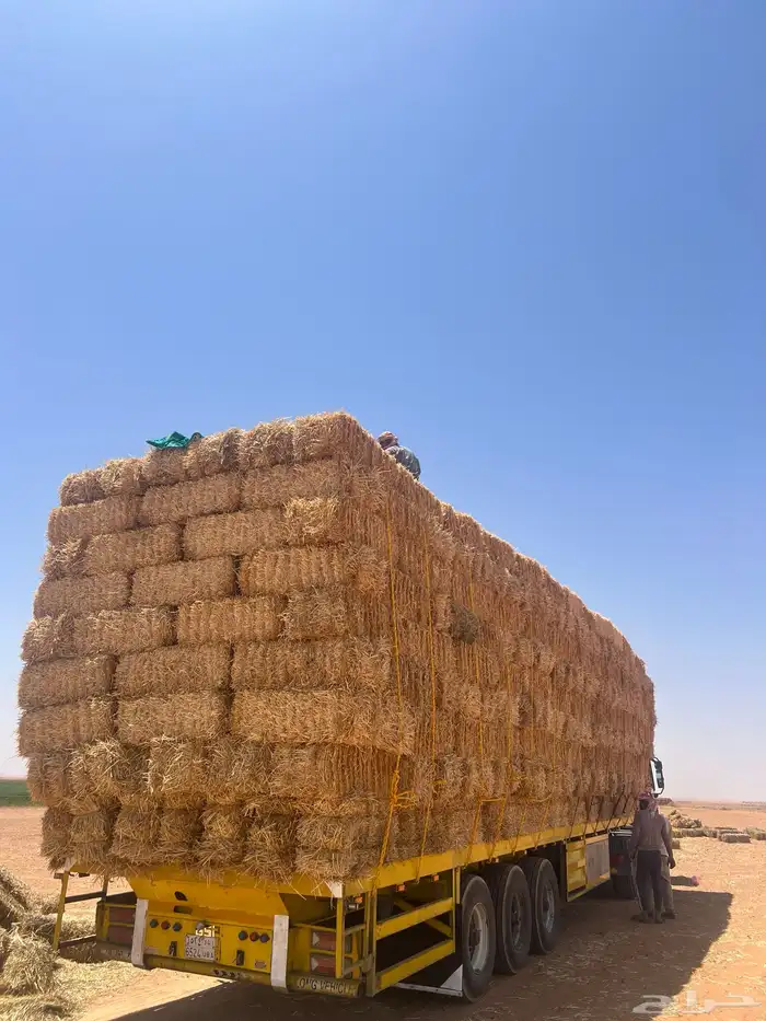 الدفع عند الاستلام 2