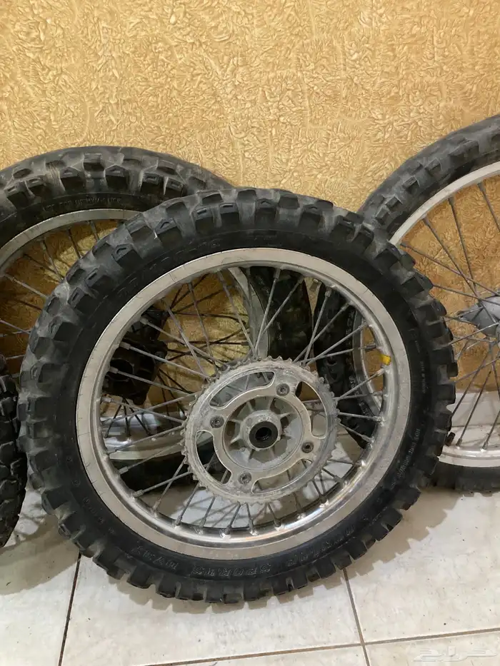 جنوط صحراوي 85 1