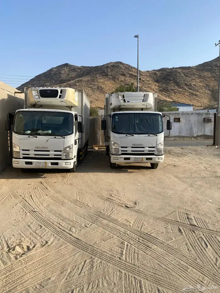 دينات للايجار لنقل المواد الغذائيه والمجمدات والحلويات 4
