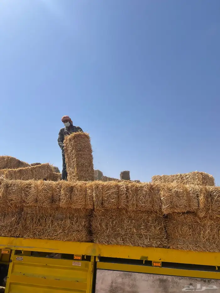 الدفع عند الاستلام 4