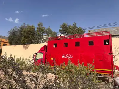 عربه نقل خيل ست روس متواجدة بطائف _جدة 0