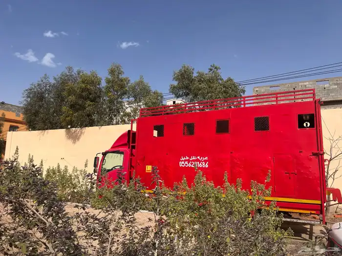 عربه نقل خيل ست روس متواجدة بطائف _جدة 0