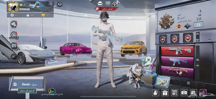 ببجي 0