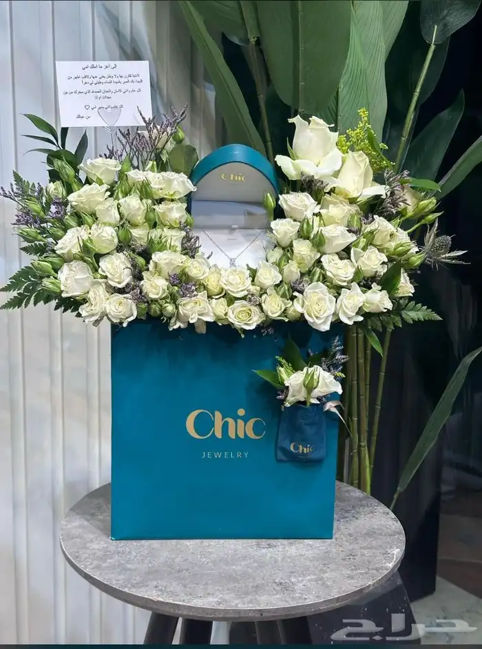 مندوب الرياض 6