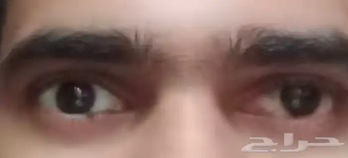 عدسات عمى الألوان 4