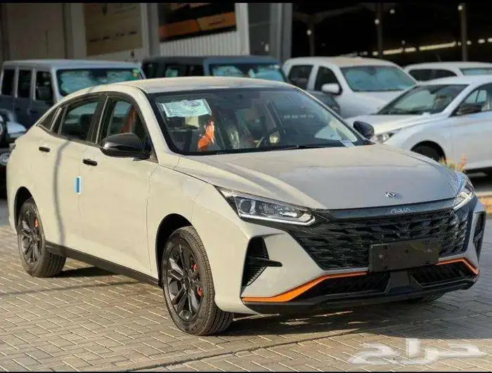 دونج فينج شاين موديل 2025 (عرض خاص ) 2