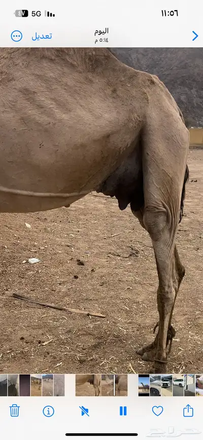 خلفه 5