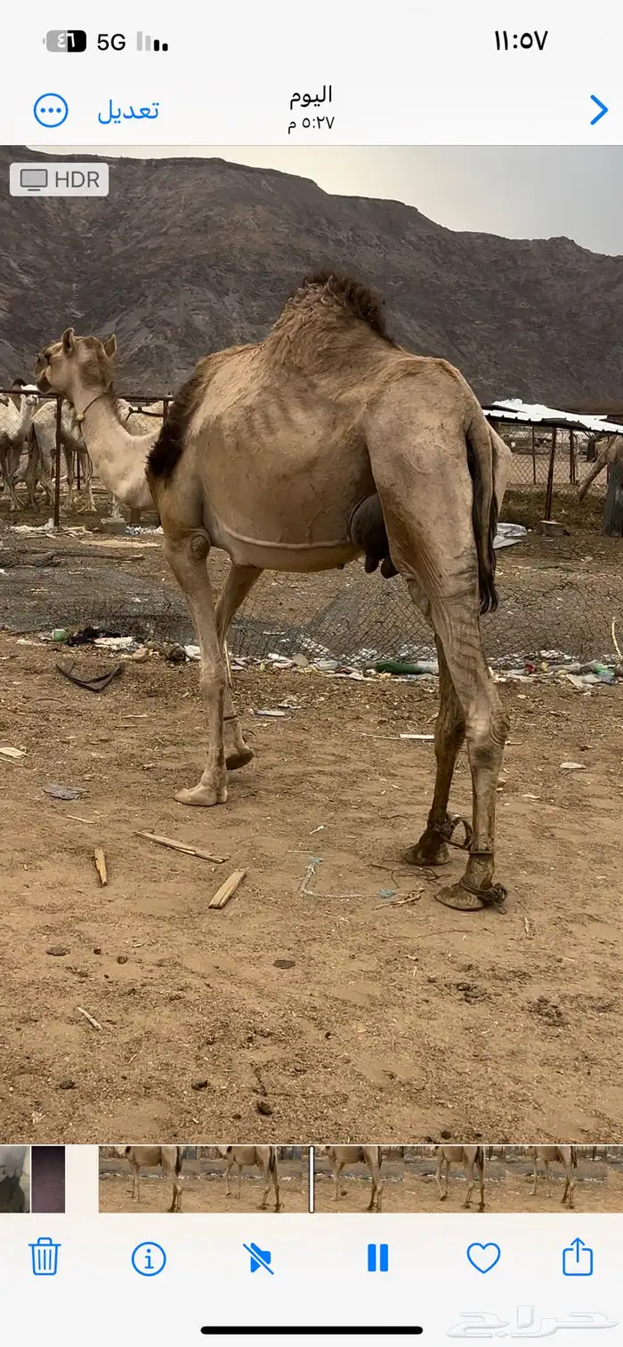 خلفه 2