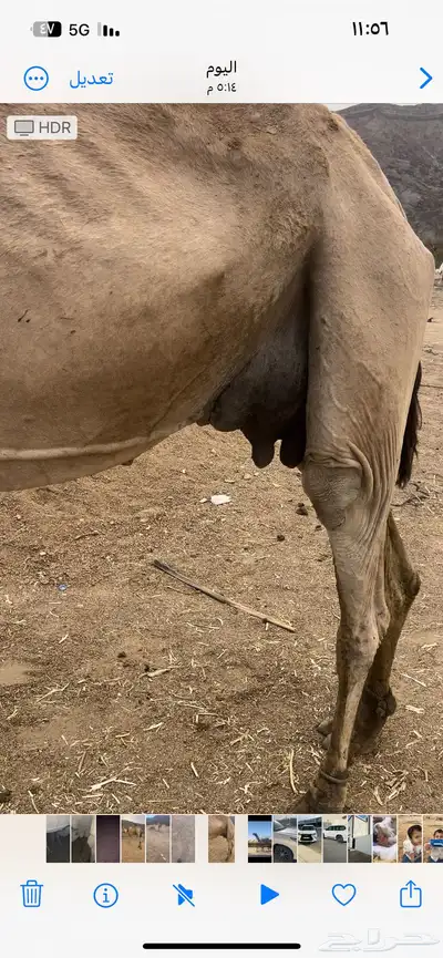 خلفه 4