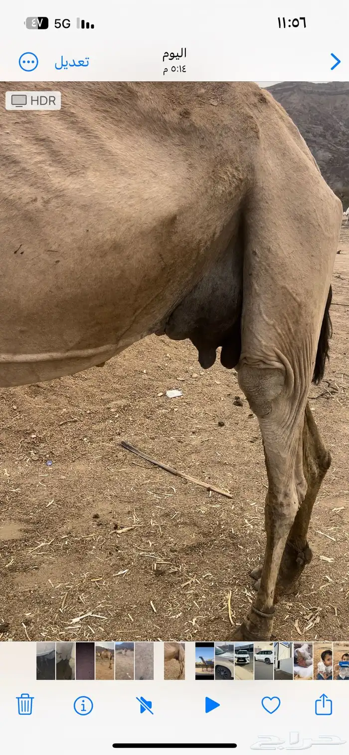 خلفه 4