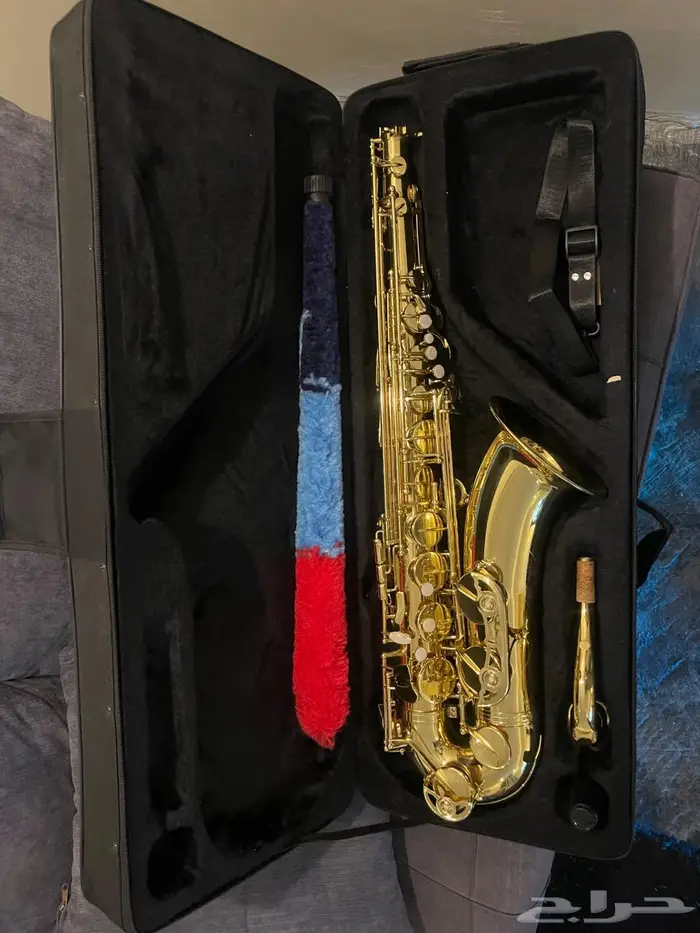 ساكسفون saxophone 0