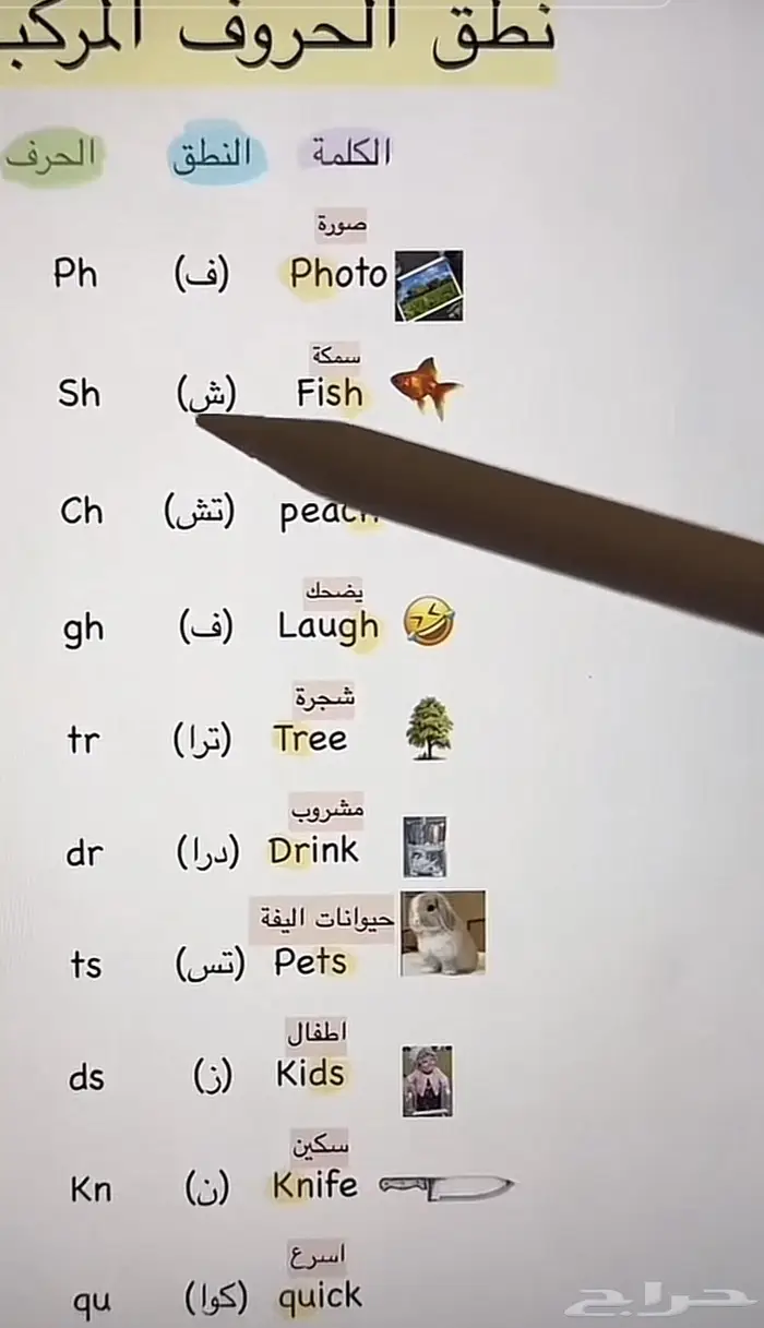 معلمة تأسيس مصريه لكل المواد 0
