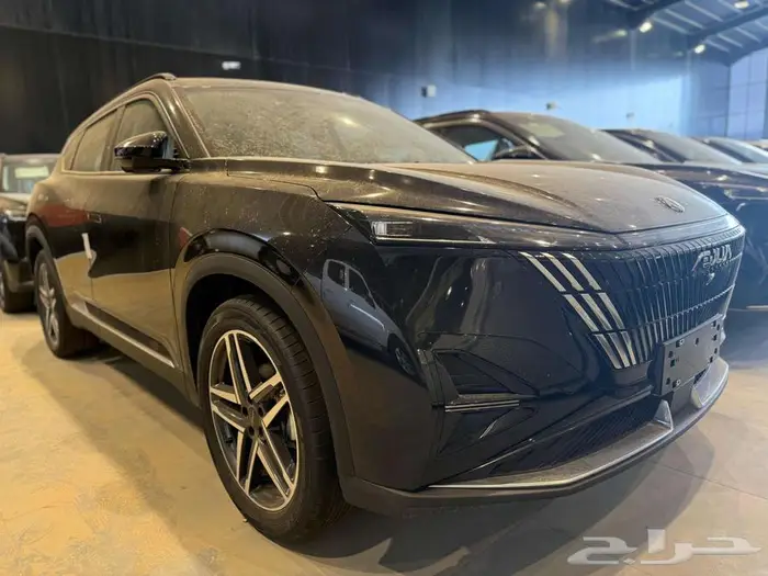 دوينغ فينغ ميج 2025 7